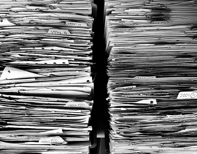 employment insurance document