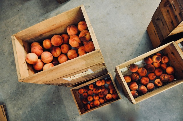 food storage box