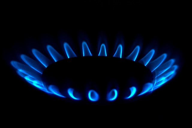 government energy office