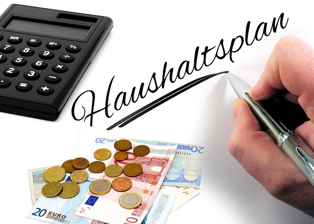 household income verification