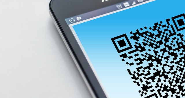 paypay app
