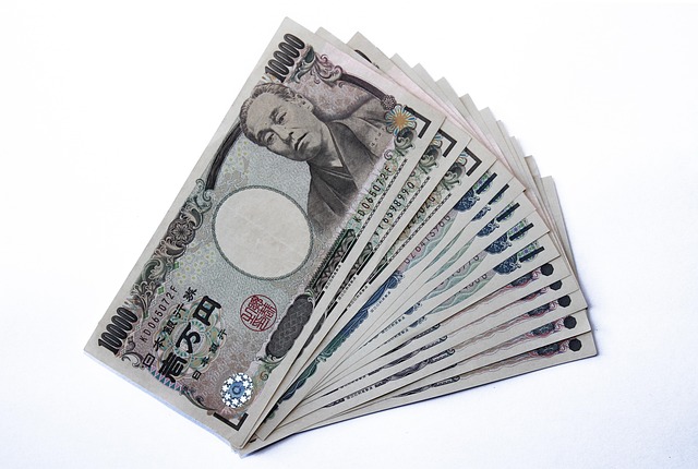 household income verification
